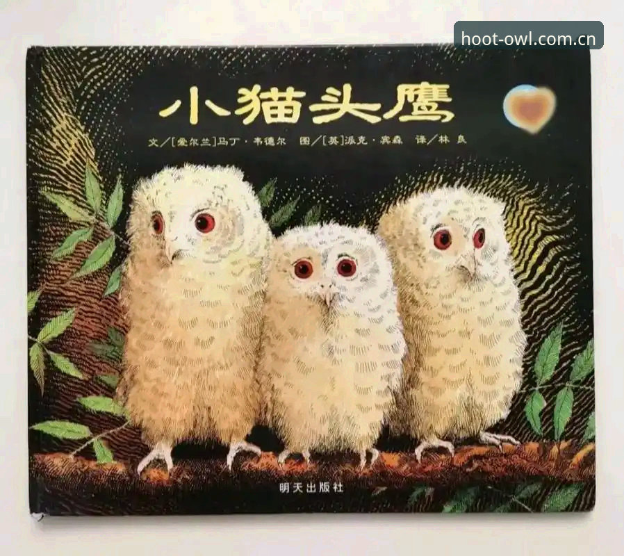深度揭秘：猫头鹰体育平台真的可靠吗？技术评测背后的真相